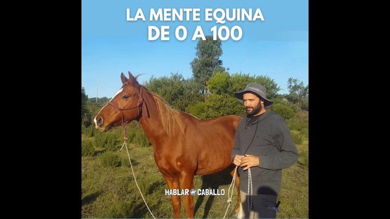 La Mente Equina de 0 a 100 Funciona? La Mente Equina de 0 a 100 Vale la pena?