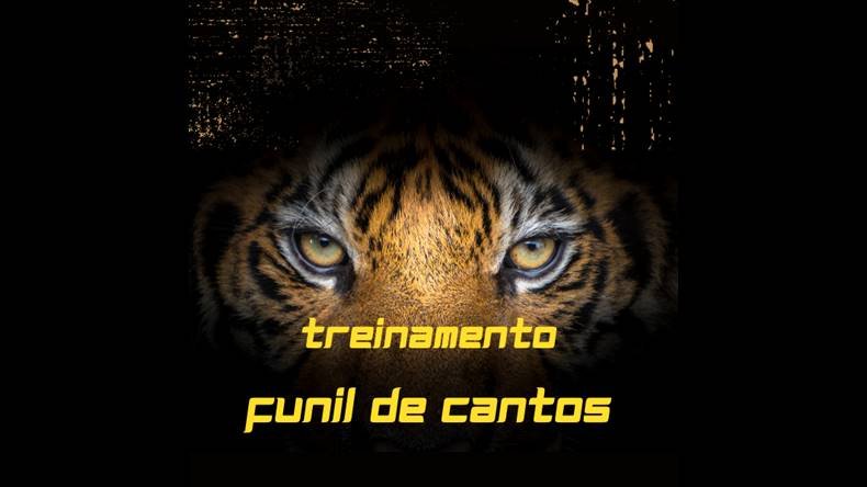 Treinamento Funil de Cantos Funciona? Treinamento Funil de Cantos Vale a Pena?