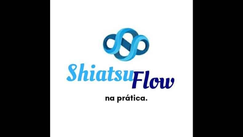Shiatsu Flow na Prática Funciona? Shiatsu Flow na Prática Vale a Pena?