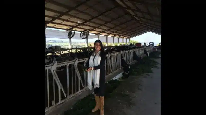 COMUNIDADE DO QUEIJO Funciona? COMUNIDADE DO QUEIJO Vale a Pena?