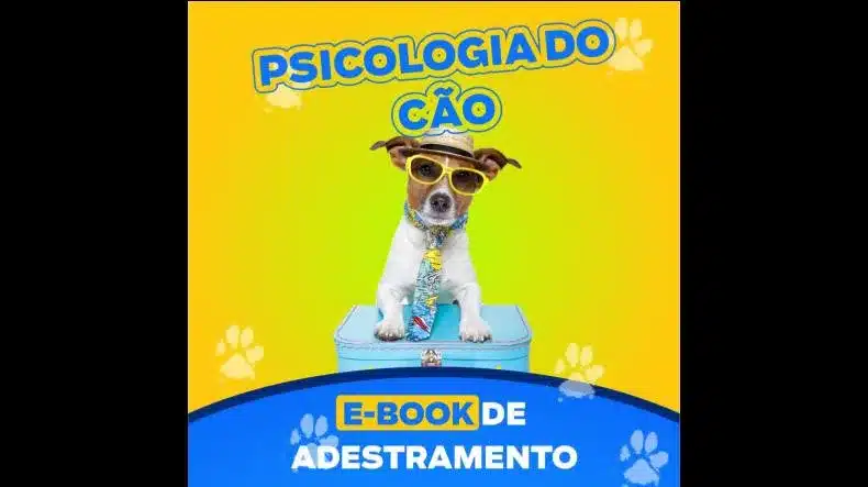 Psicologia Do Cão Funciona? Psicologia Do Cão Vale a Pena?