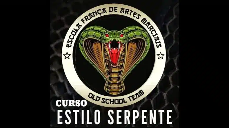 Curso Do Estilo Serpente Funciona? Curso Do Estilo Serpente Vale a Pena?