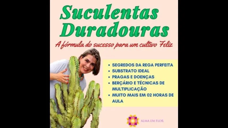Curso Suculentas Duradouras de Grazi Bittencourt Vale a Pena mesmo?