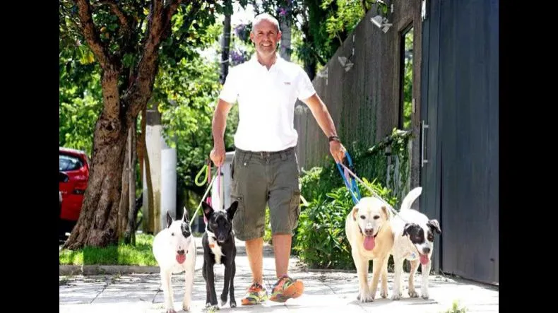 Curso Cão Ativo de Fernando Baiardi Vale a Pena mesmo?